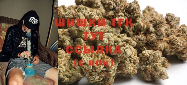 гидра Алексеевка