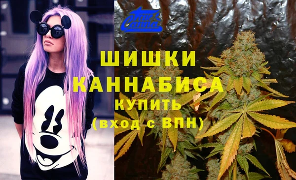 гидра Алексеевка