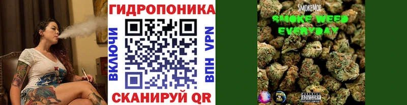 цена наркотик Рыбное Каннабис сатива